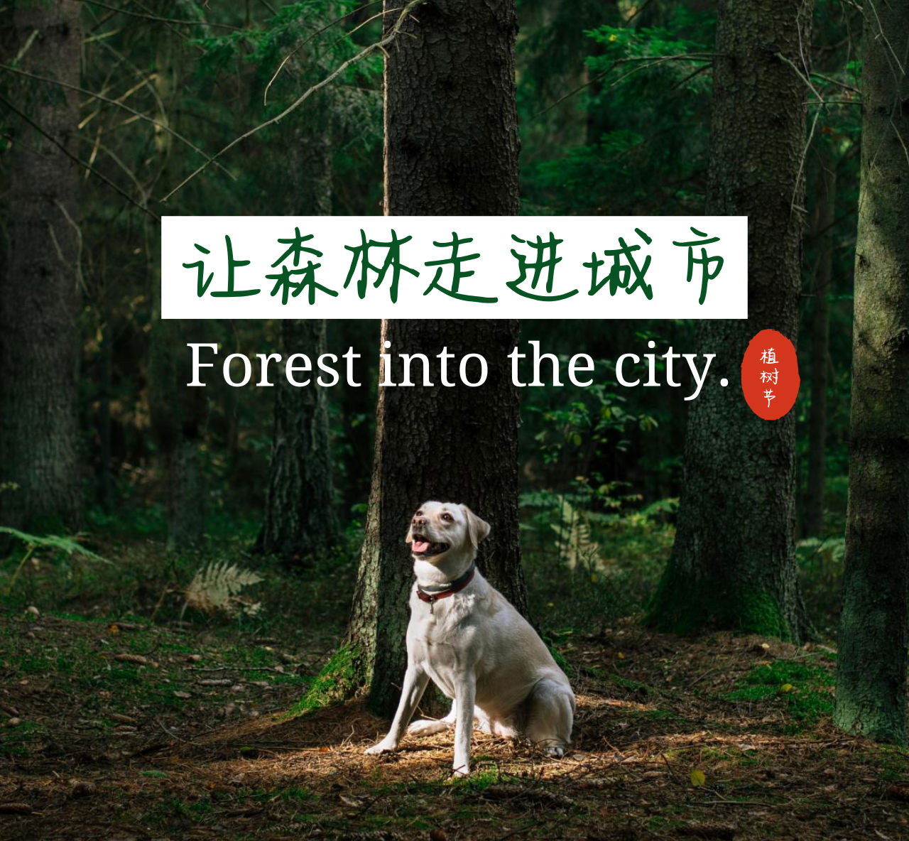 植树节图片
